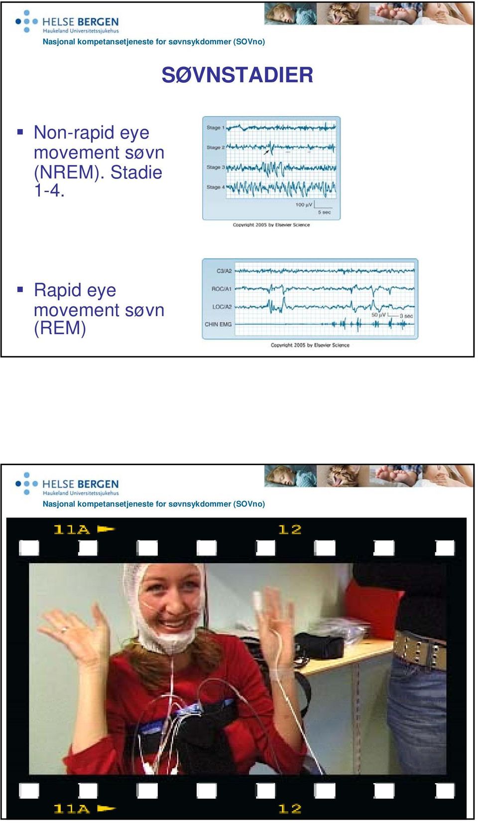 (NREM). Stadie 1-4.