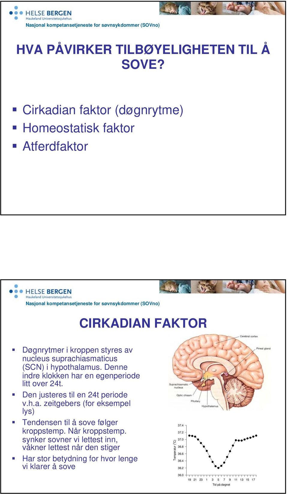 hypothalamus. Denne indre klokken har en egenperiode litt over 24t. Den justeres til en 24t periode v.h.a. zeitgebers (for eksempel lys) Tendensen til å sove følger kroppstemp.