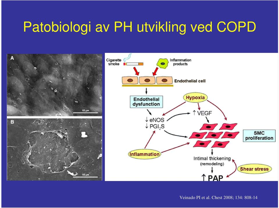 Veinado PI et al.