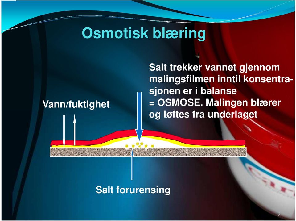 konsentrasjonen er i balanse = OSMOSE.