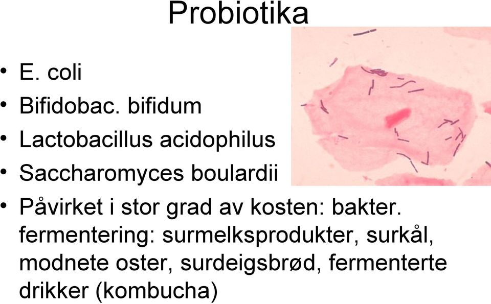 boulardii Påvirket i stor grad av kosten: bakter.