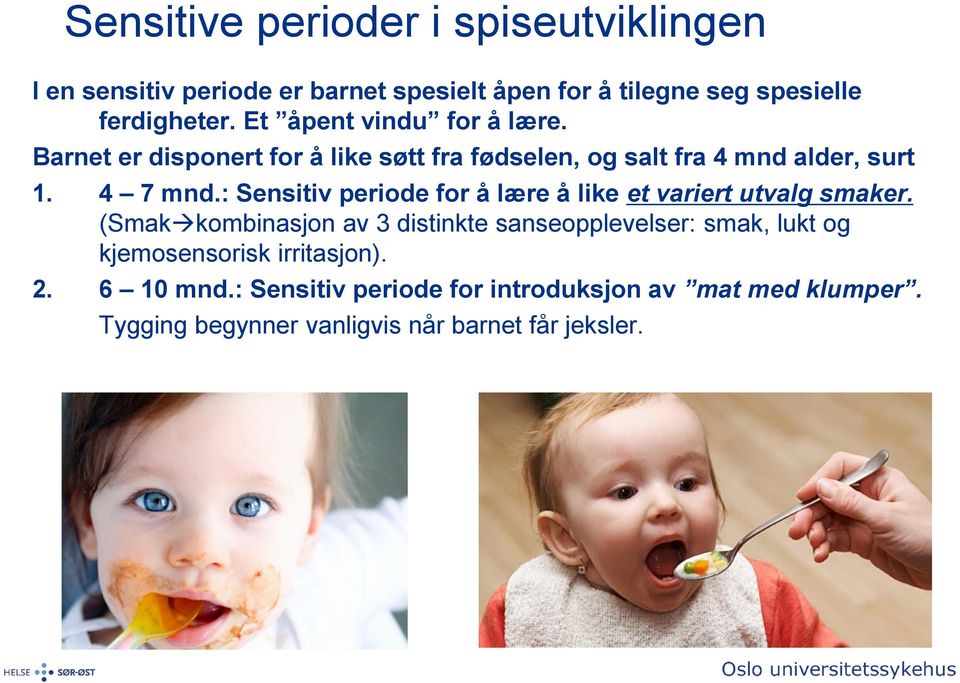 : Sensitiv periode for å lære å like et variert utvalg smaker.