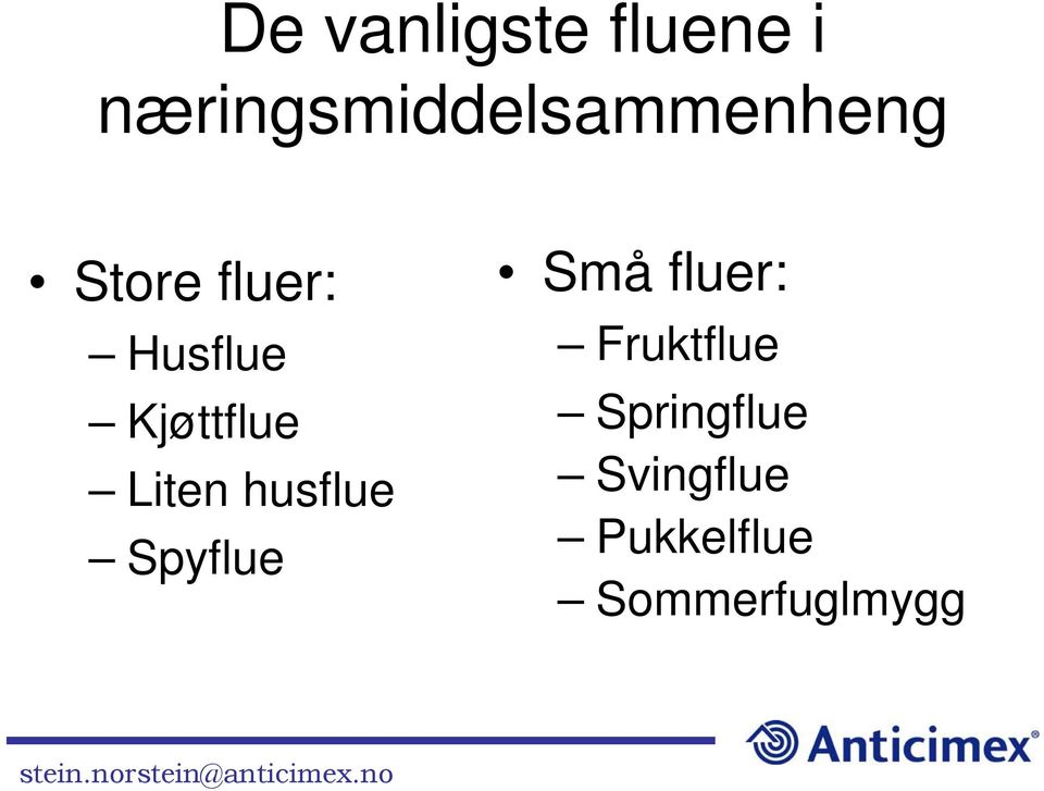 Husflue Kjøttflue Liten husflue Spyflue