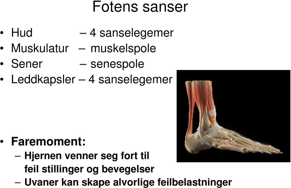 sanselegemer Faremoment: Hjernen venner seg fort til