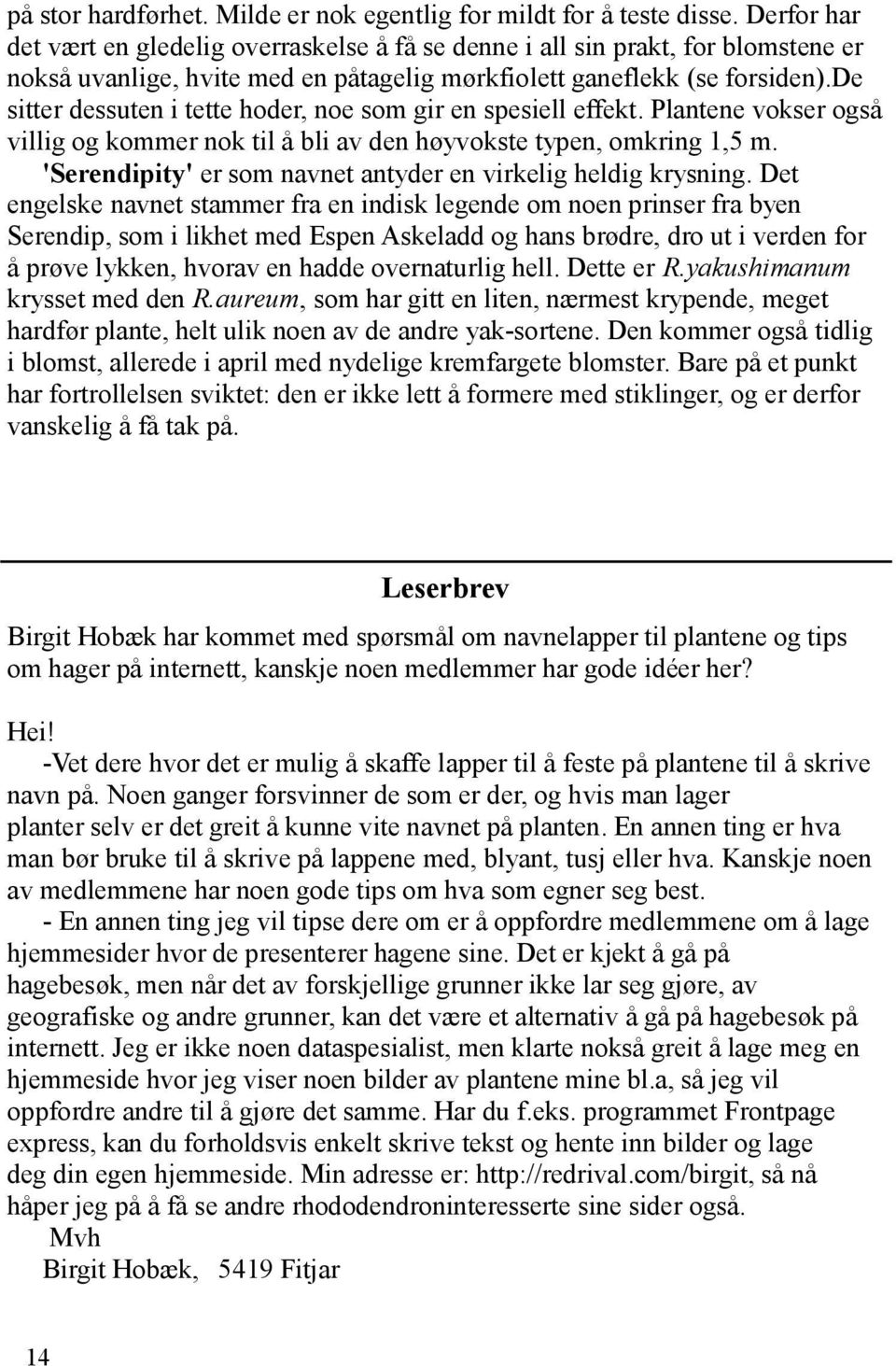 de sitter dessuten i tette hoder, noe som gir en spesiell effekt. Plantene vokser også villig og kommer nok til å bli av den høyvokste typen, omkring 1,5 m.