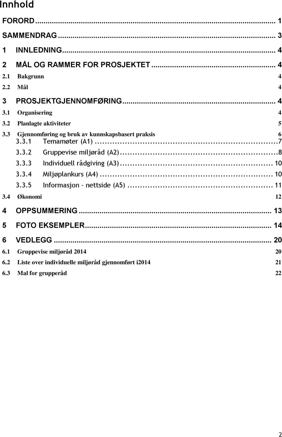 .. 10 3.3.4 Miljøplankurs (A4)... 10 3.3.5 Informasjon nettside (A5)... 11 3.4 Økonomi 12 4 OPPSUMMERING... 13 5 FOTO EKSEMPLER... 14 6 VEDLEGG... 20 6.