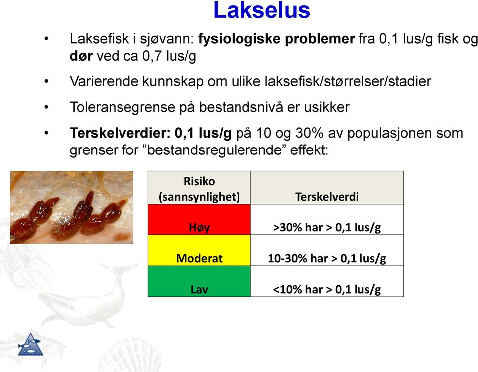 Terskelverdier: 0,1 lus/g på 10 og 30% av populasjonen som grenser for bestandsregulerende effekt: