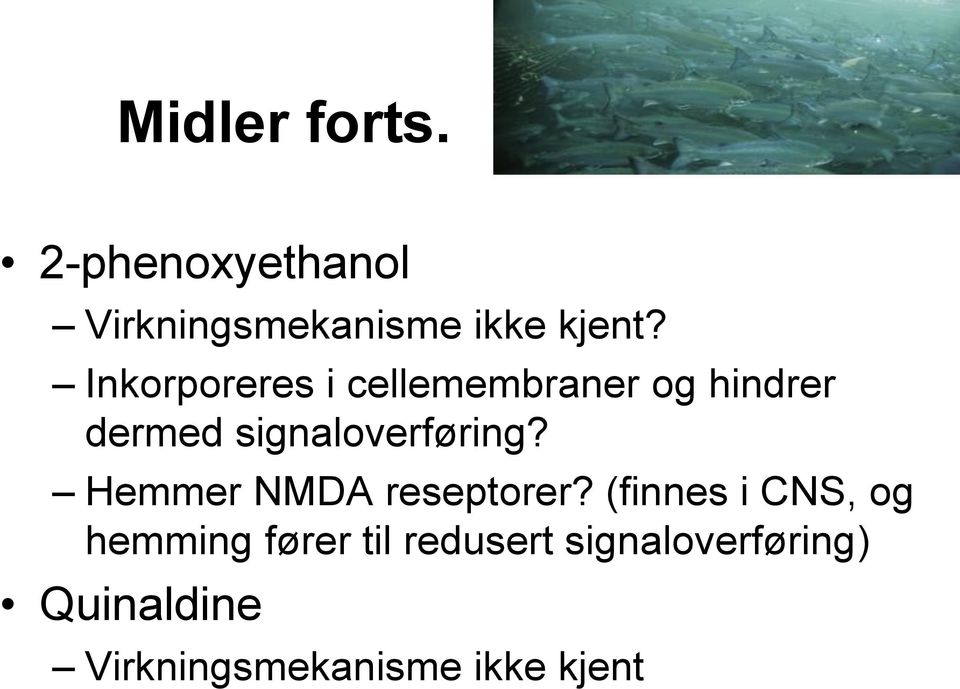 signaloverføring? Hemmer NMDA reseptorer?