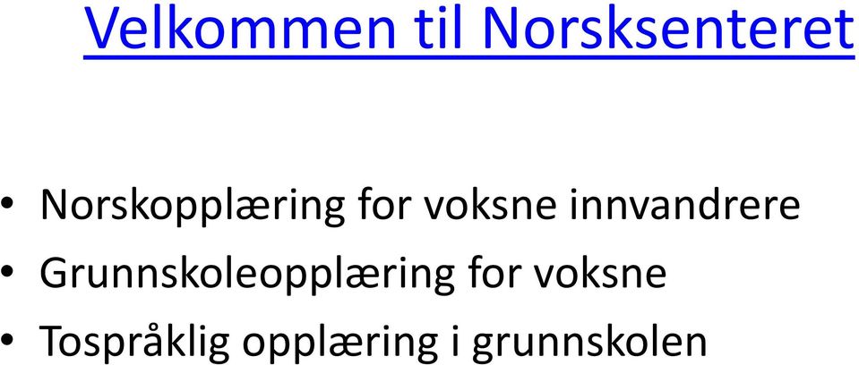 innvandrere Grunnskoleopplæring