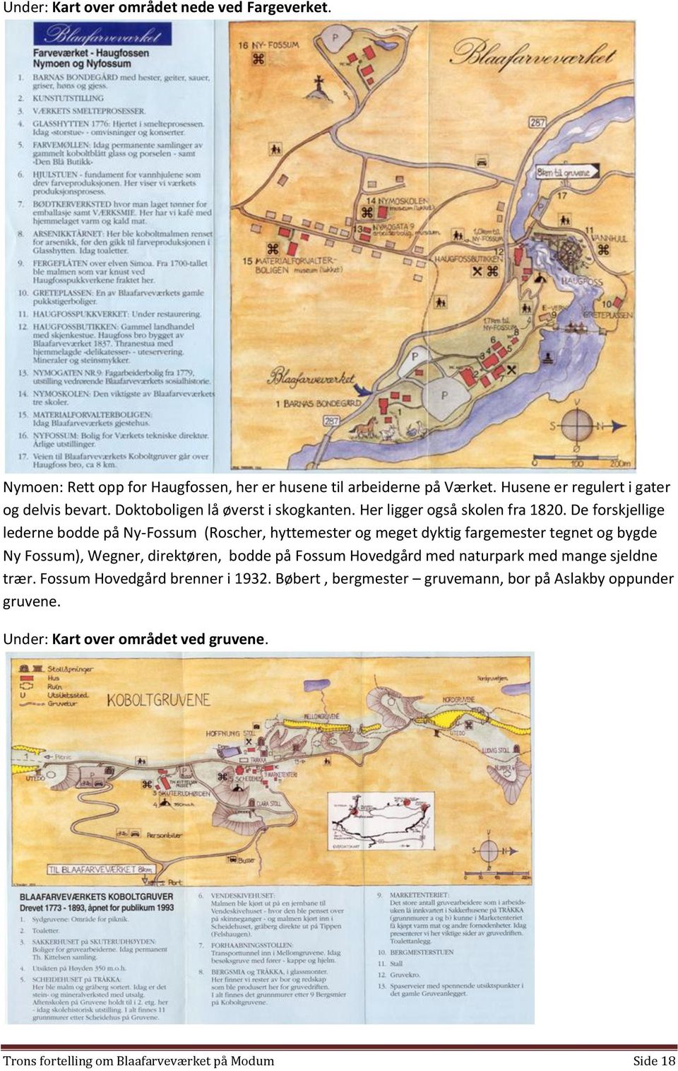 De forskjellige lederne bodde på Ny-Fossum (Roscher, hyttemester og meget dyktig fargemester tegnet og bygde Ny Fossum), Wegner, direktøren, bodde på Fossum