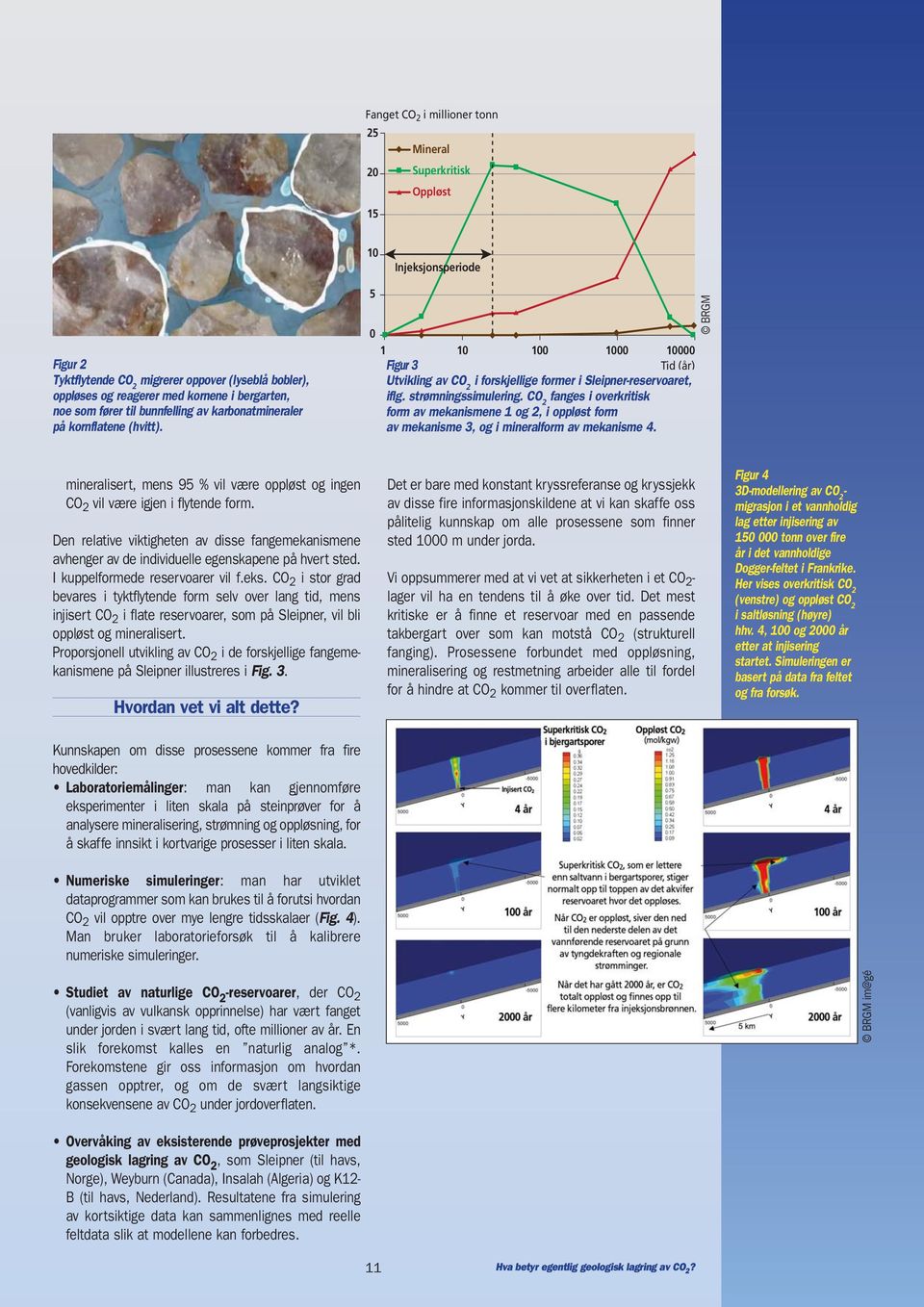 strømningssimulering. CO 2 fanges i overkritisk form av mekanismene 1 og 2, i oppløst form av mekanisme 3, og i mineralform av mekanisme 4.