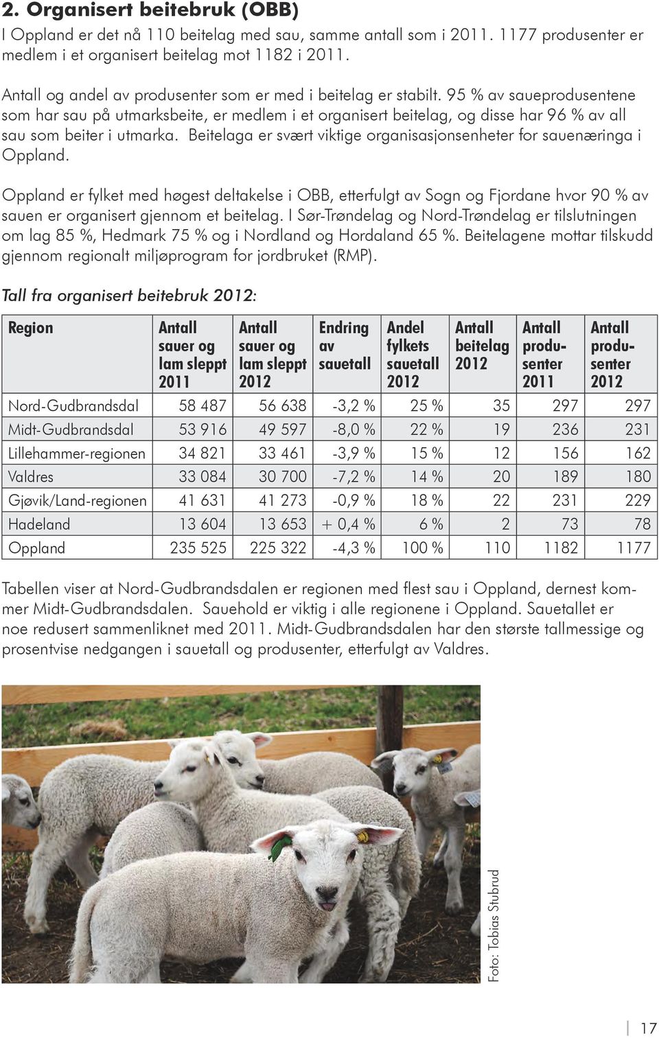 95 % av saueprodusentene som har sau på utmarksbeite, er medlem i et organisert beitelag, og disse har 96 % av all sau som beiter i utmarka.