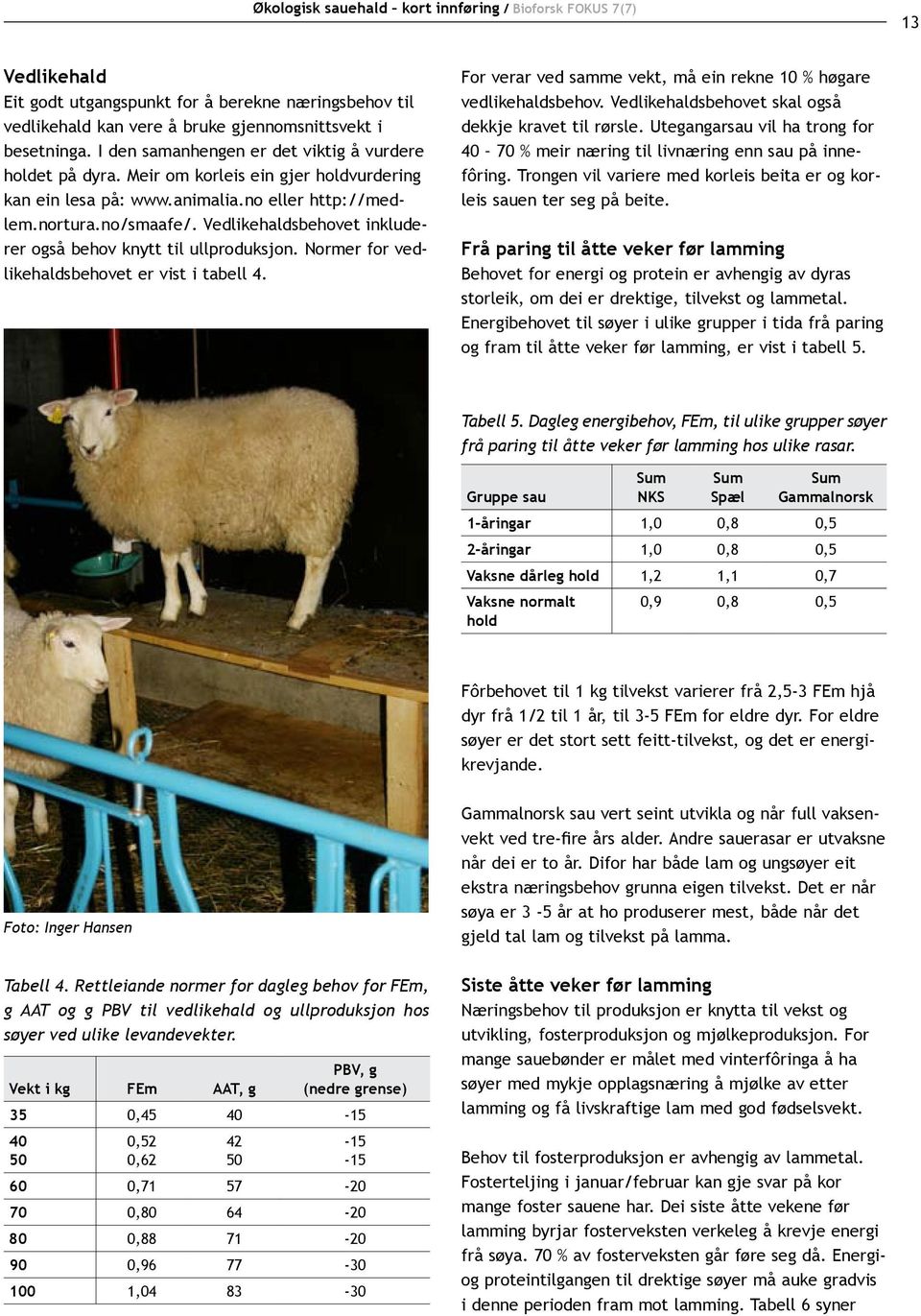 Vedlikehaldsbehovet inkluderer også behov knytt til ullproduksjon. Normer for vedlikehaldsbehovet er vist i tabell 4. For verar ved samme vekt, må ein rekne 10 % høgare vedlikehaldsbehov.