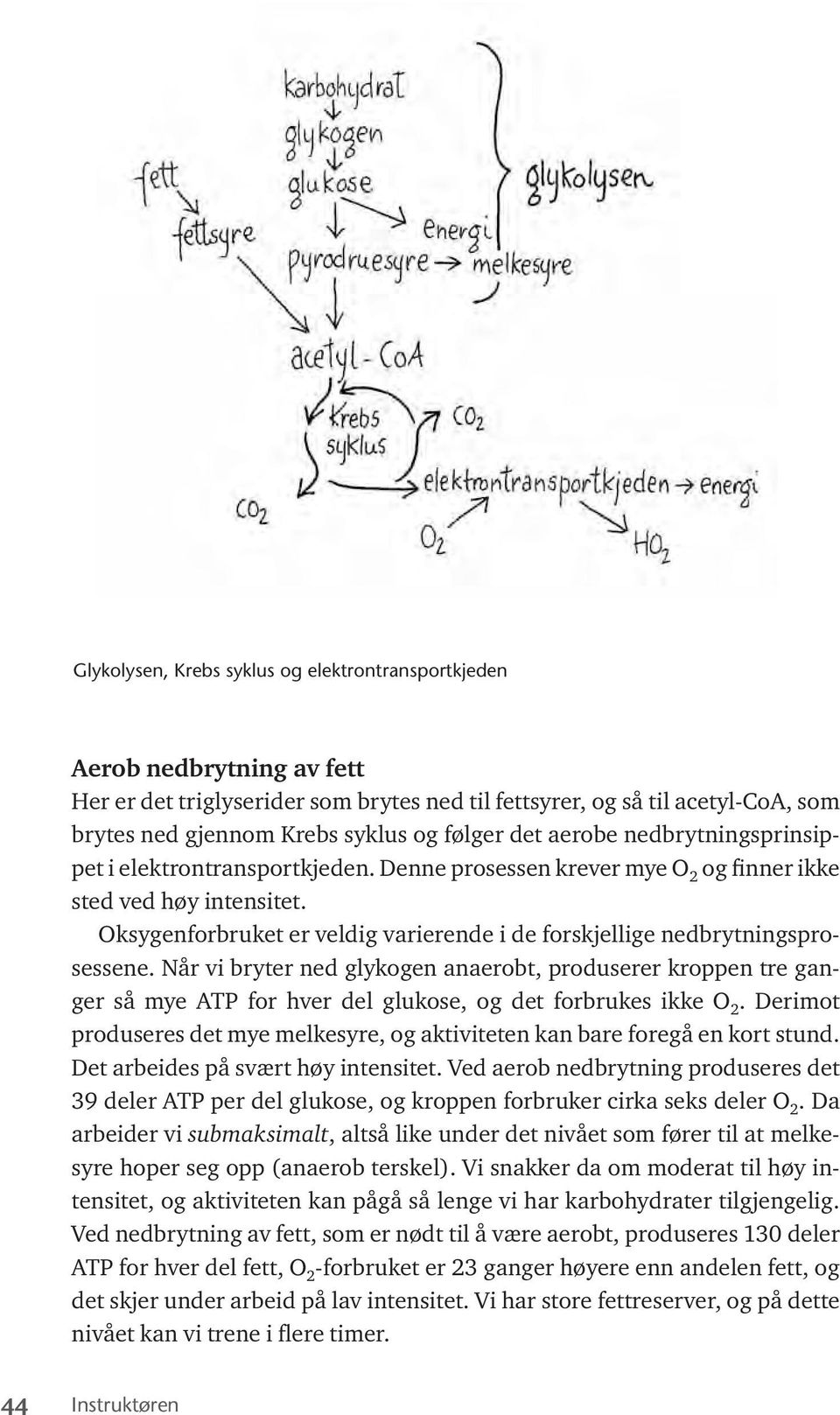 Oksygenforbruket er veldig varierende i de forskjellige nedbrytningsprosessene.