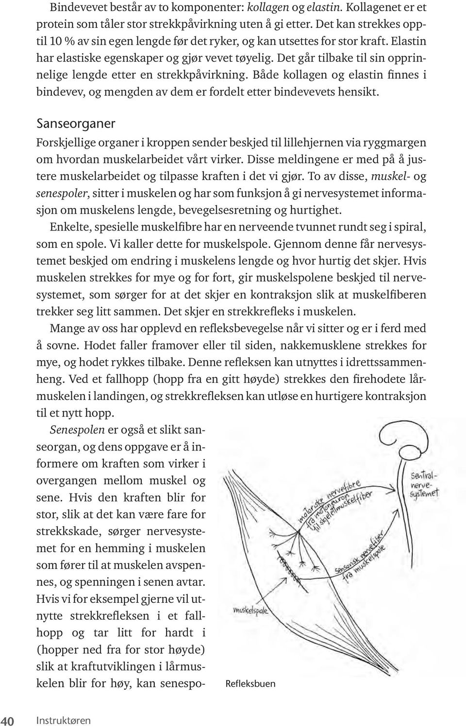 Det går tilbake til sin opprinnelige lengde etter en strekkpåvirkning. Både kollagen og elastin finnes i bindevev, og mengden av dem er fordelt etter bindevevets hensikt.