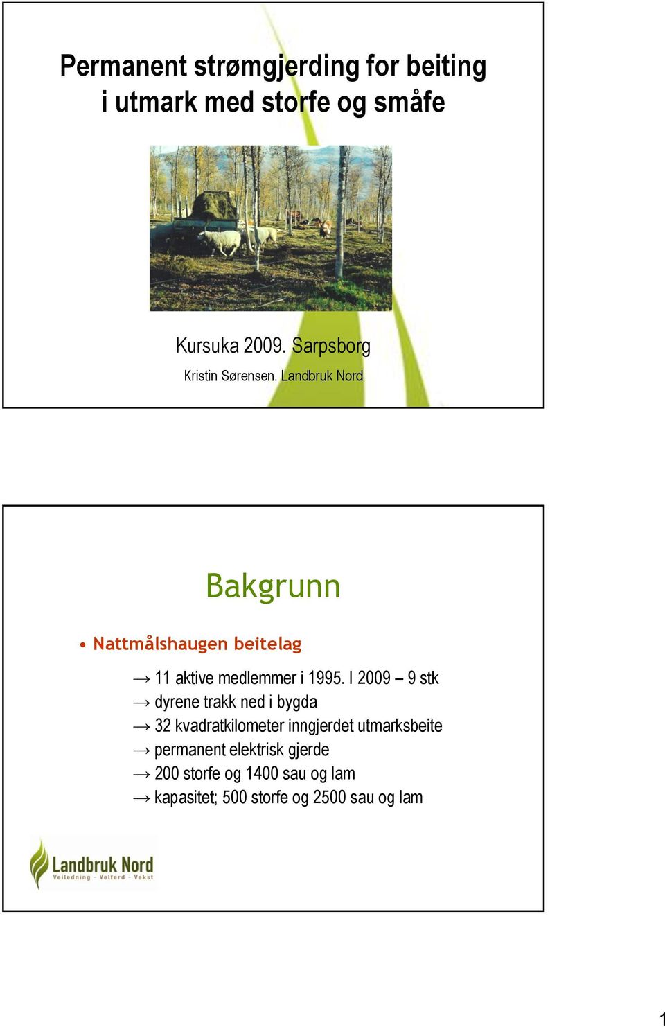 Landbruk Nord Bakgrunn Nattmålshaugen beitelag 11 aktive medlemmer i 1995.