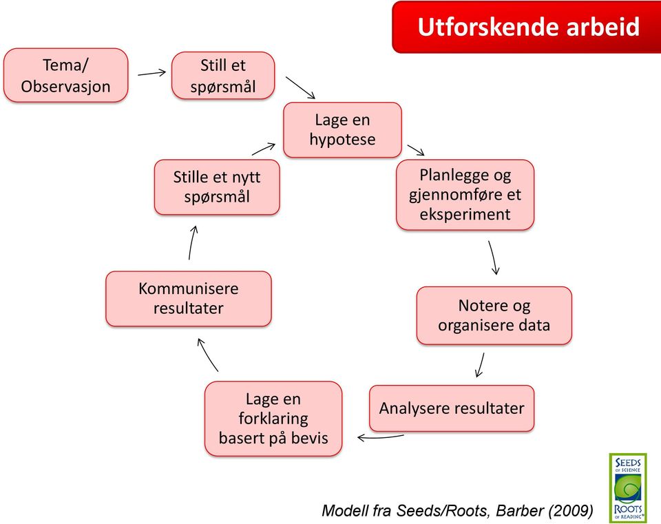 Kommunisere resultater Notere og organisere data Lage en forklaring