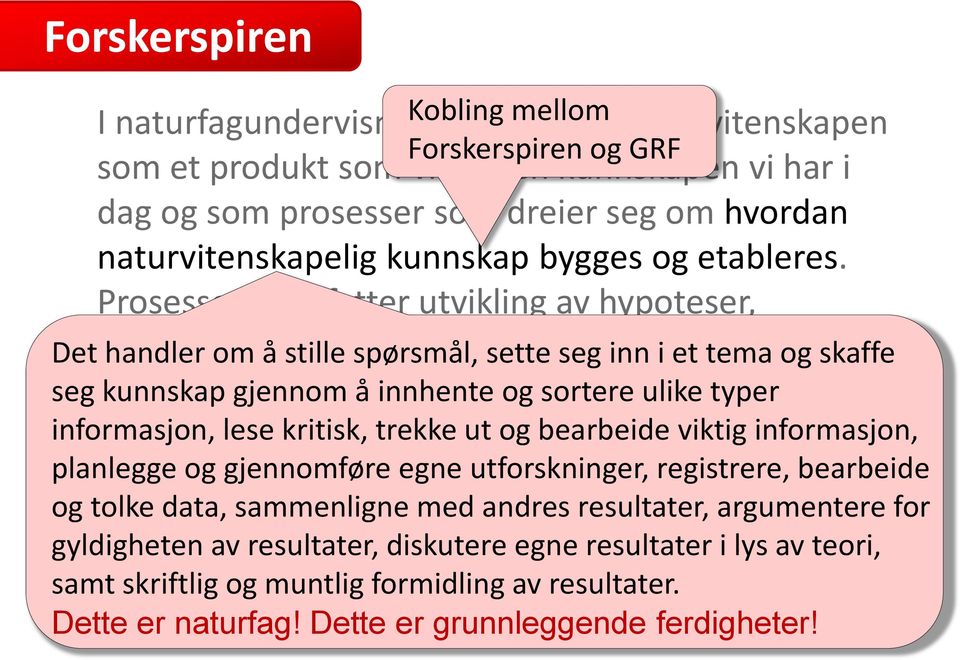 Prosessene omfatter utvikling av hypoteser, eksperimentering, systematiske observasjoner, diskusjoner, kritisk vurdering, argumentasjon, begrunnelser for konklusjoner og formidling.