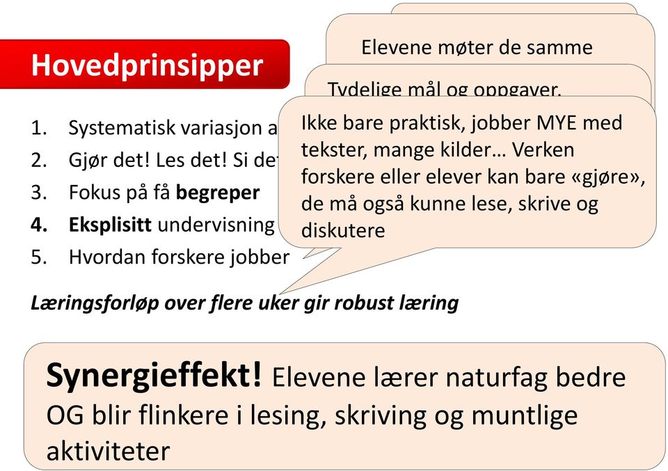 mange begreper, kilder formål Verken med forskere lesestrategier, eller elever skriveoppgaver kan bare «gjøre», etc. 3. Fokus på få begreper de må også kunne lese, skrive og 4.