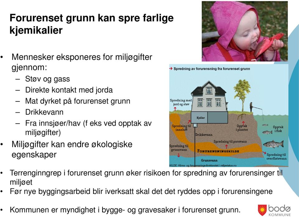 økologiske egenskaper Terrenginngrep i forurenset grunn øker risikoen for spredning av forurensinger til miljøet Før nye