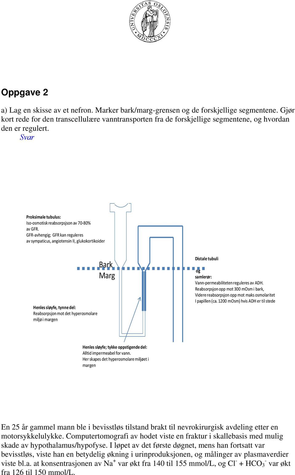 GFR avhengig; GFR kan reguleres av sympaticus, angiotensin II, glukokortikoider Henles sløyfe, tynne del: Reabsorpsjon mot det hyperosmolare miljø i margen Bark Marg Distale tubuli og samlerør: Vann