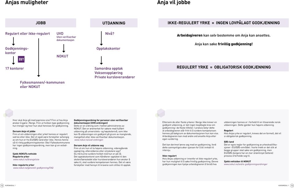 17 kontorer Samordna opptak Voksenopplæring Private kursleverandører Fylkesmannen/-kommunen eller NOKUT REGULERT YRKE = OBLIGATORISK GODKJENNING Hvor skal Anja gå med papirene sine?