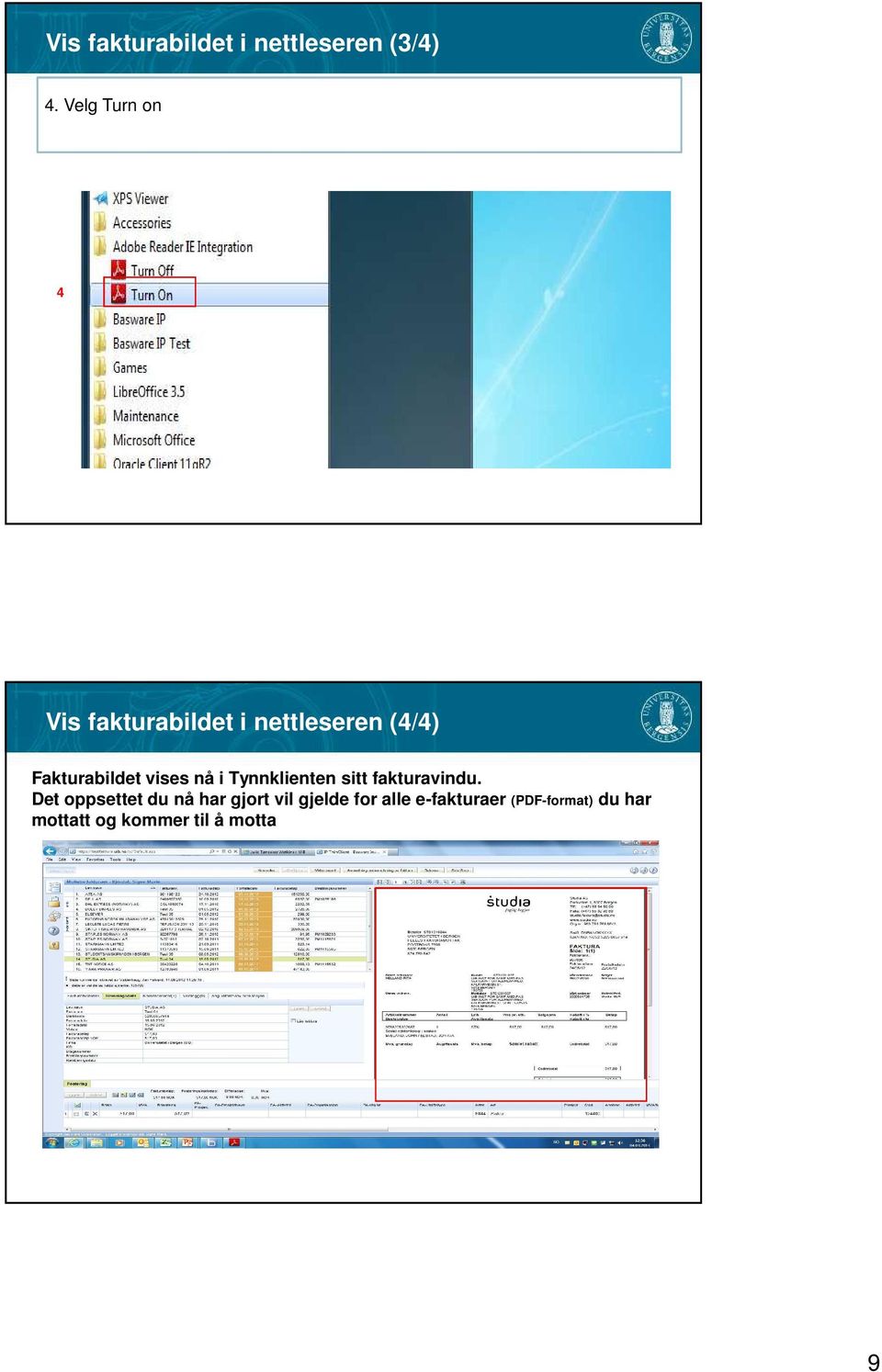 Fakturabildet vises nå i Tynnklienten sitt fakturavindu.