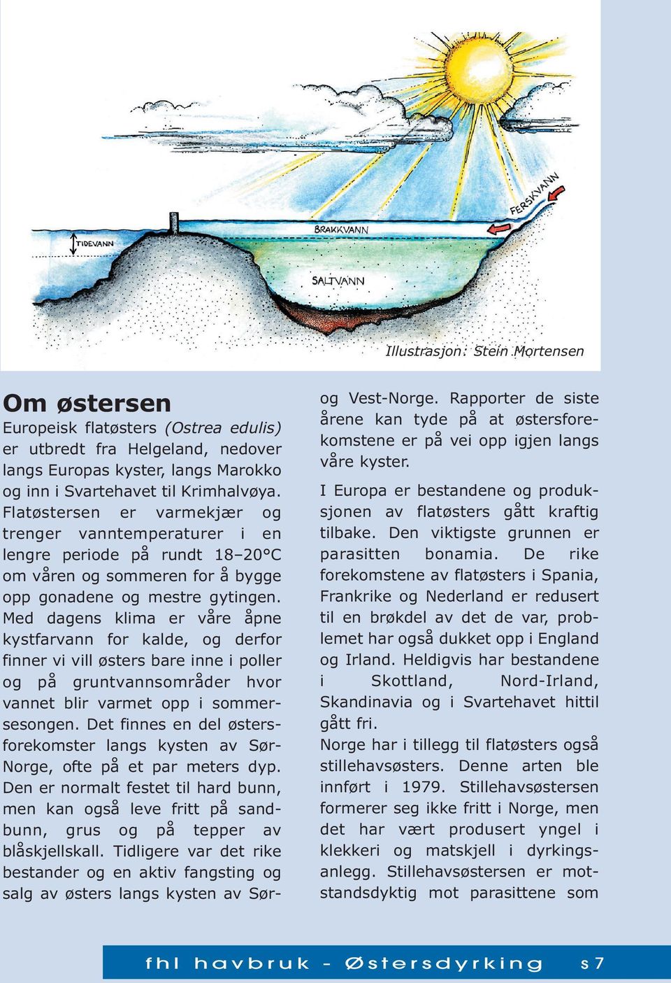 Med dagens klima er våre åpne kystfarvann for kalde, og derfor finner vi vill østers bare inne i poller og på gruntvannsområder hvor vannet blir varmet opp i sommersesongen.