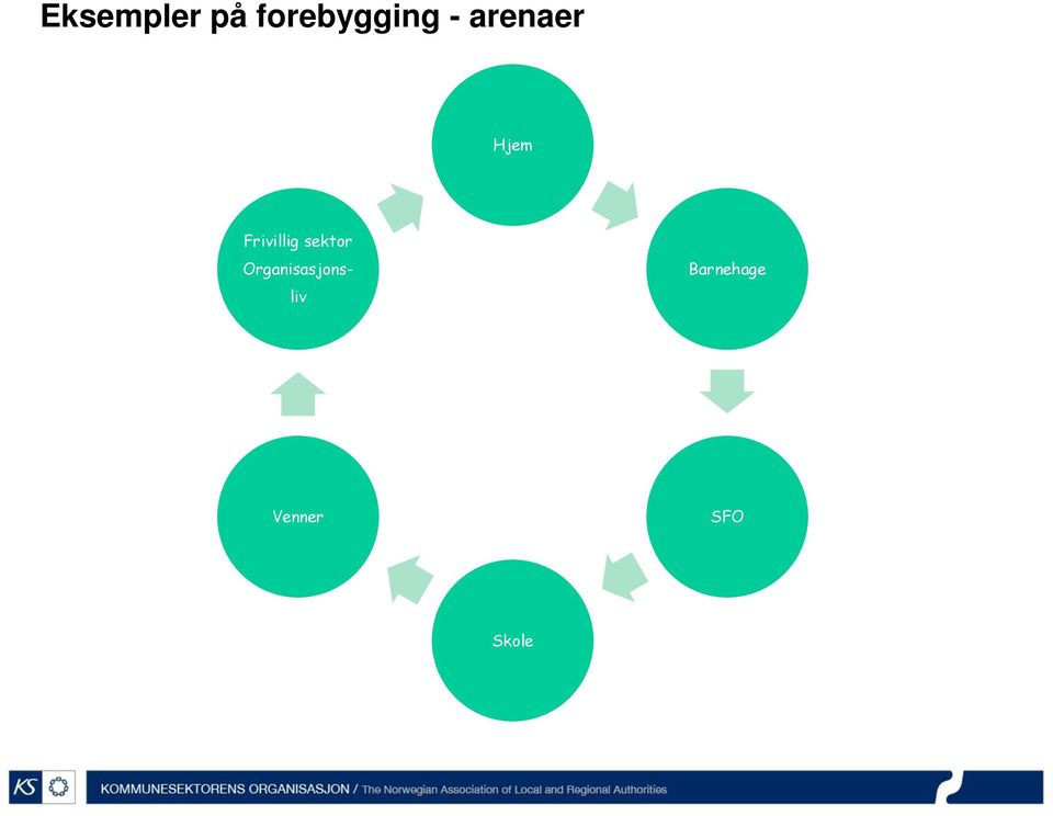 sektor Organisasjons- liv