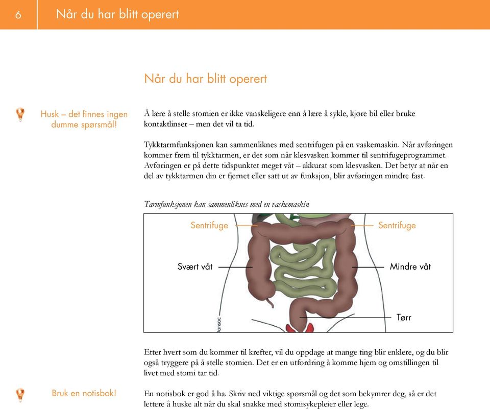 Når avføringen kommer frem til tykktarmen, er det som når klesvasken kommer til sentrifugeprogrammet. Avføringen er på dette tidspunktet meget våt akkurat som klesvasken.