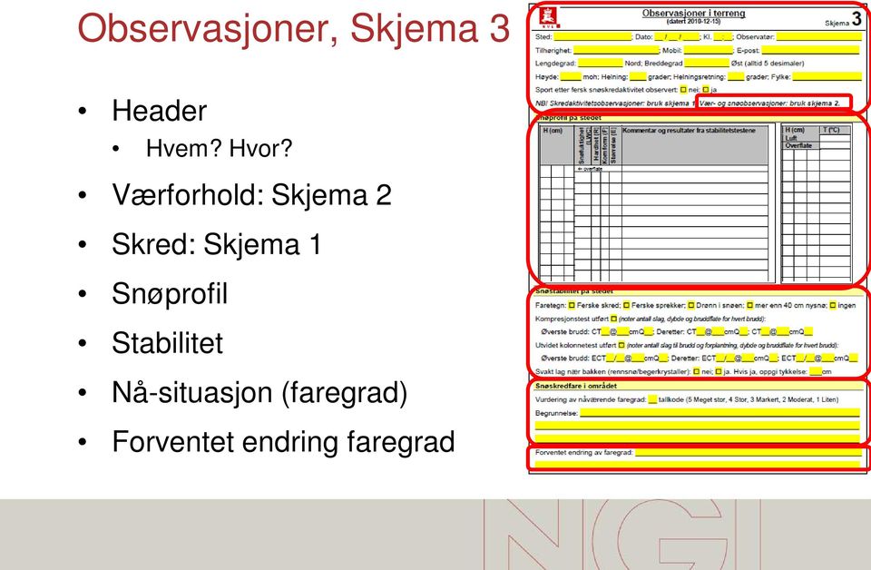 Skjema 1 Snøprofil Stabilitet