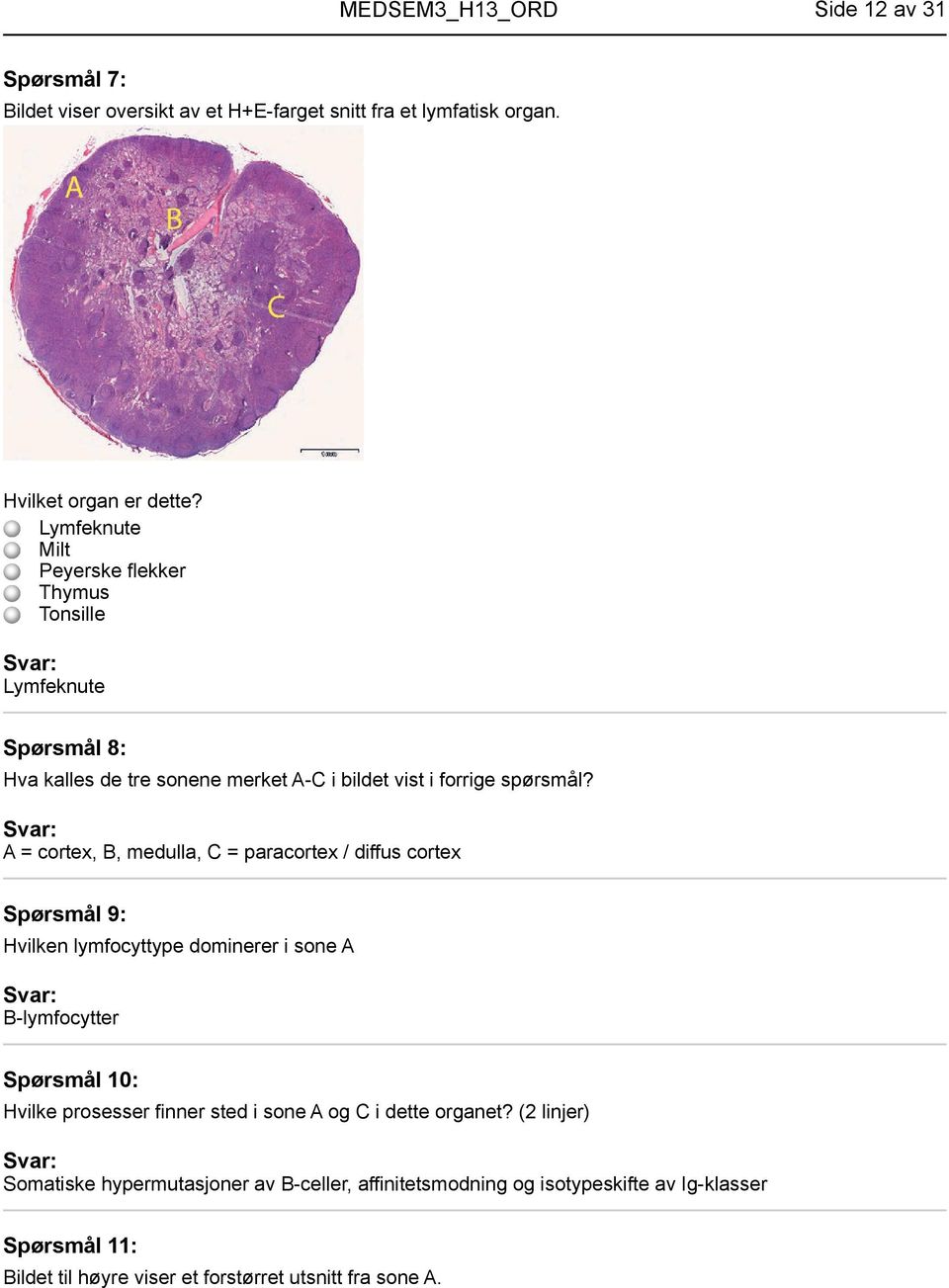 A = cortex, B, medulla, C = paracortex / diffus cortex Spørsmål 9: Hvilken lymfocyttype dominerer i sone A B-lymfocytter Spørsmål 10: Hvilke prosesser