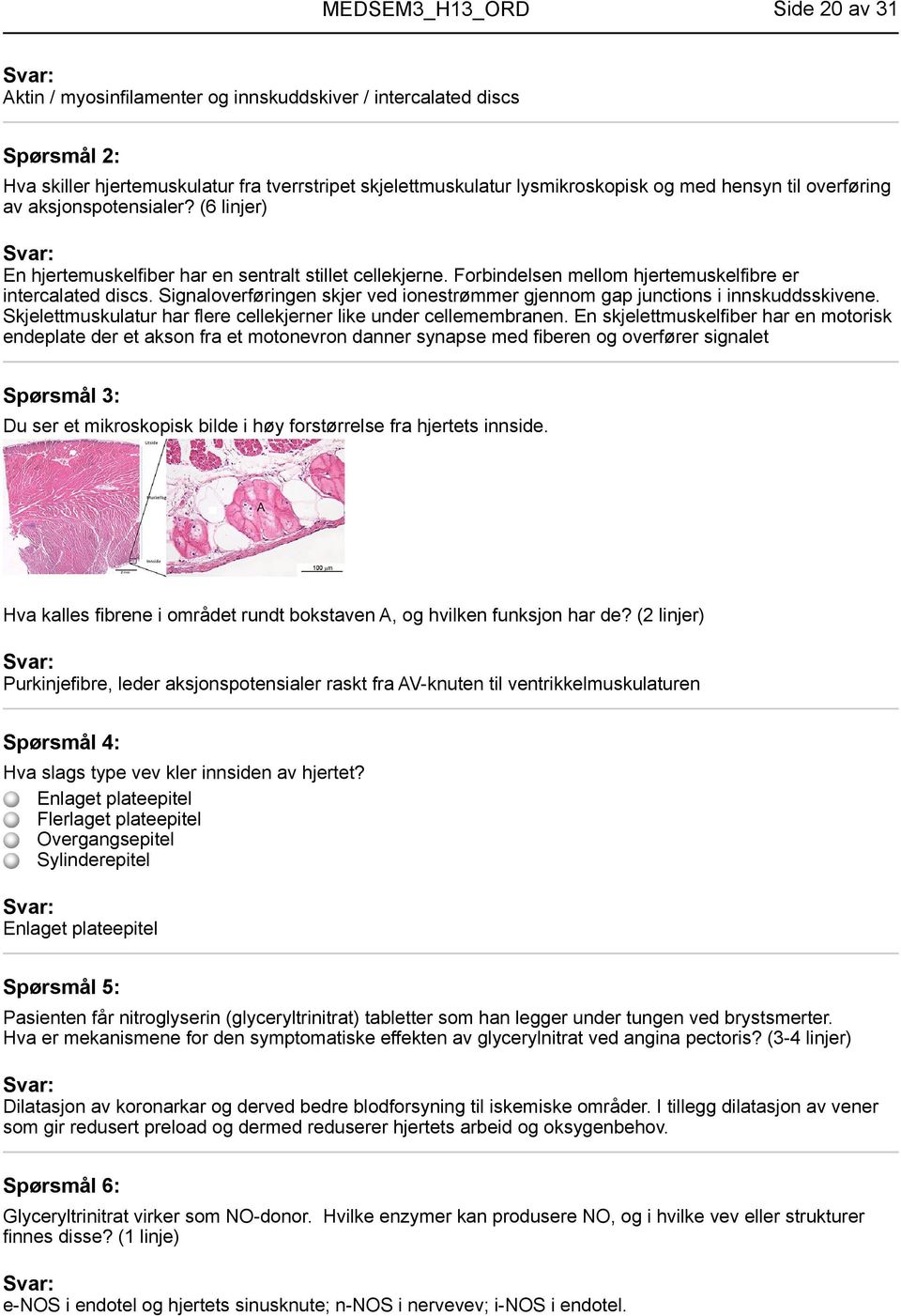 Signaloverføringen skjer ved ionestrømmer gjennom gap junctions i innskuddsskivene. Skjelettmuskulatur har flere cellekjerner like under cellemembranen.