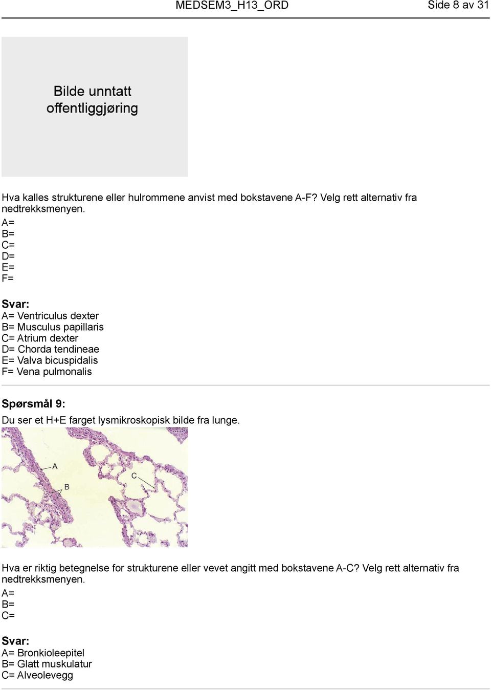 Vena pulmonalis Spørsmål 9: Du ser et H+E farget lysmikroskopisk bilde fra lunge.