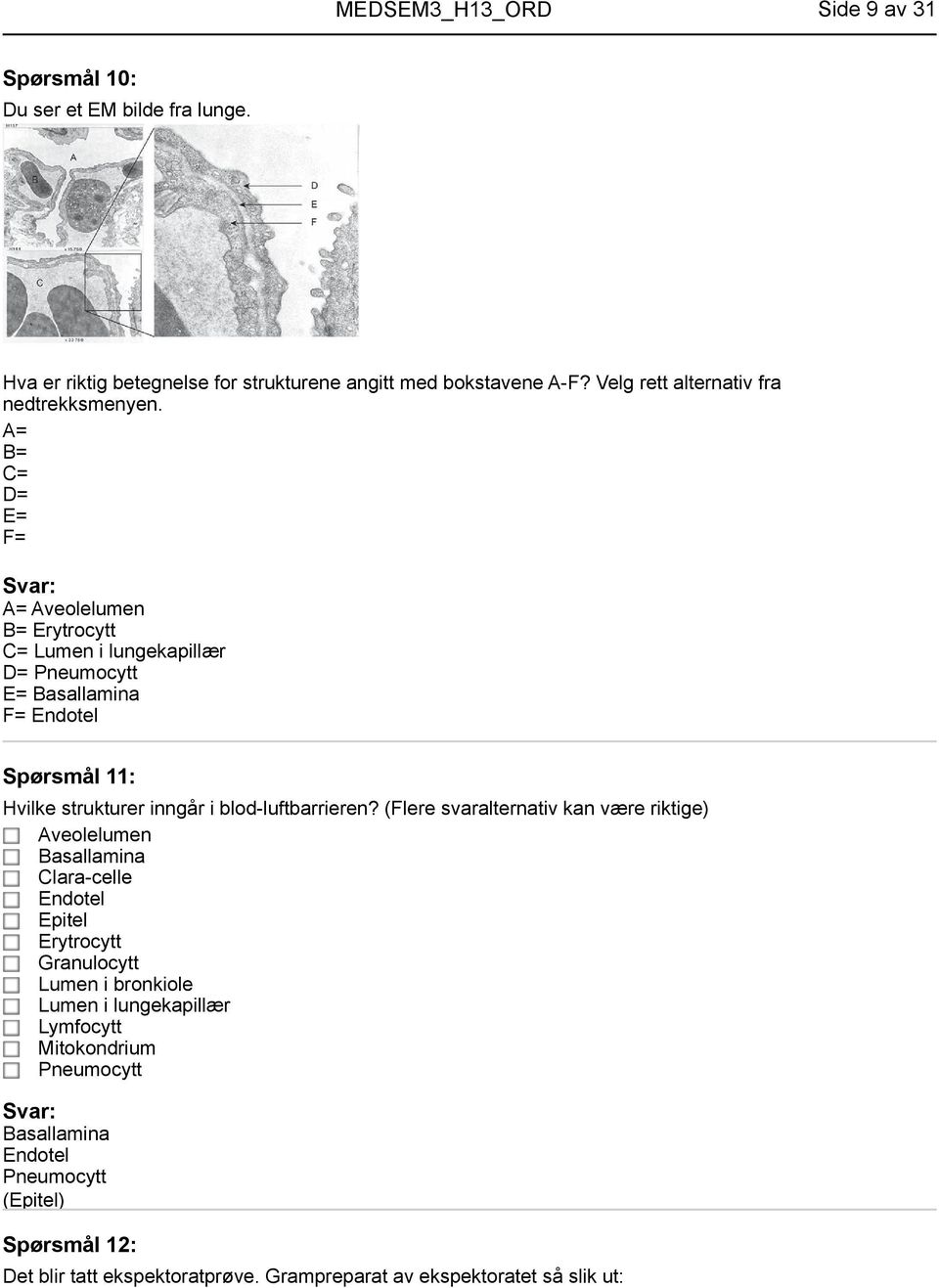 A= B= C= D= E= F= A= Aveolelumen B= Erytrocytt C= Lumen i lungekapillær D= Pneumocytt E= Basallamina F= Endotel Spørsmål 11: Hvilke strukturer inngår i