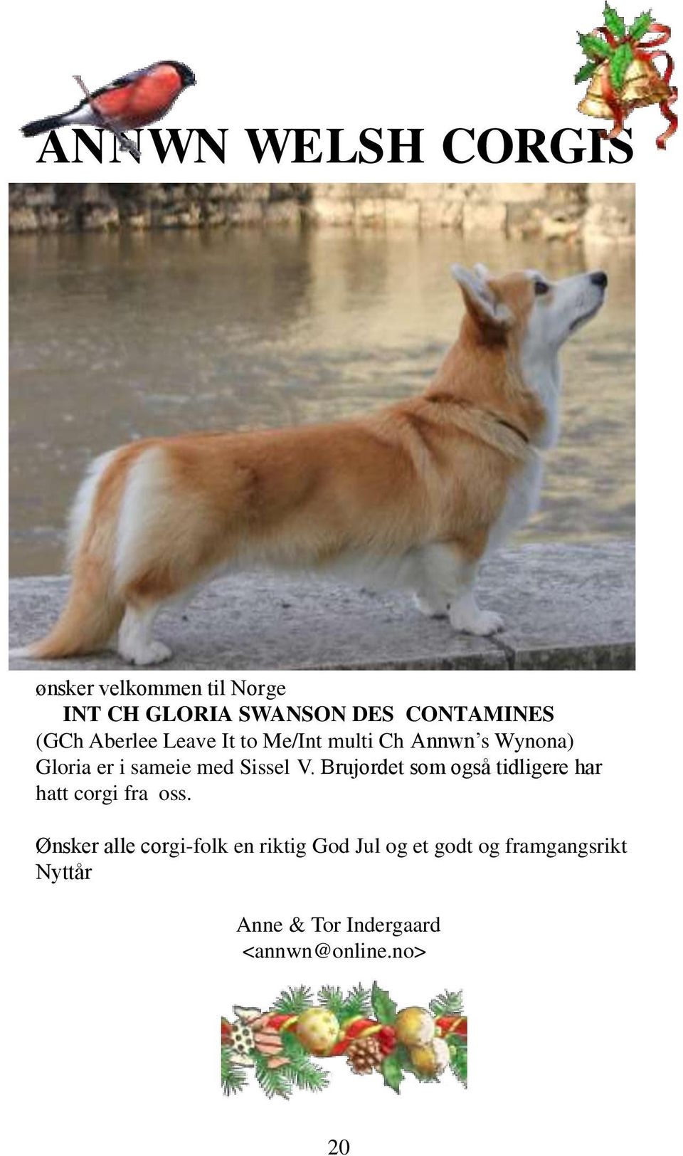 Sissel V. Brujordet som også tidligere har hatt corgi fra oss.