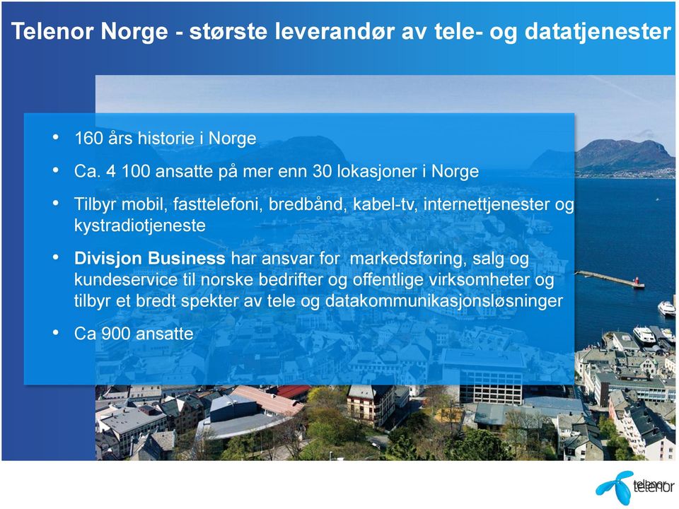 internettjenester og kystradiotjeneste Divisjon Business har ansvar for markedsføring, salg og