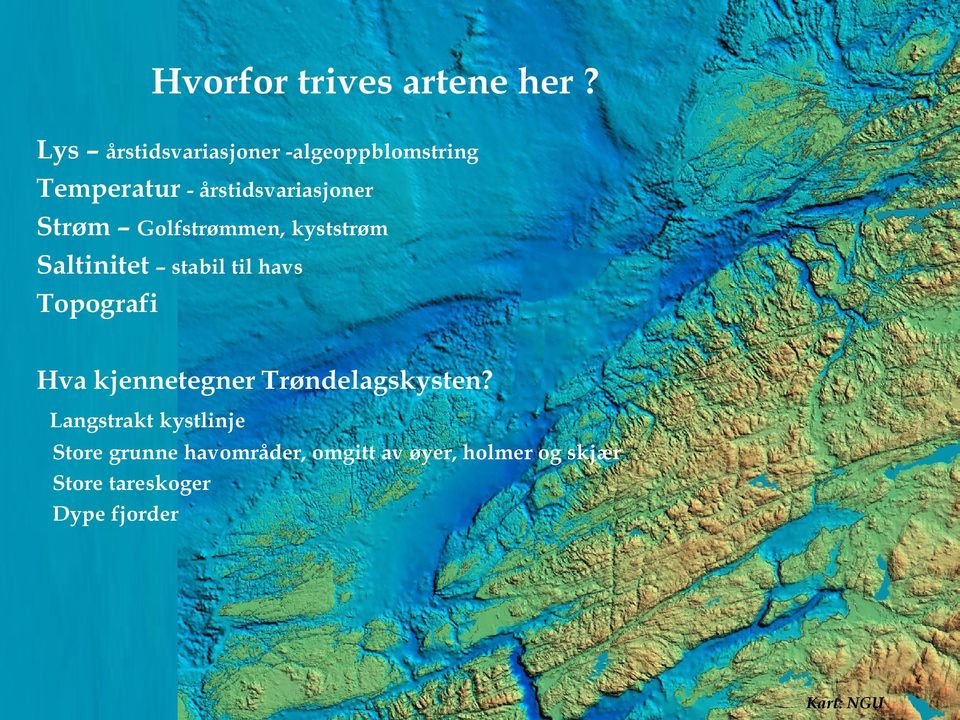 Golfstrømmen, kyststrøm Saltinitet stabil til havs Topografi Hva kjennetegner