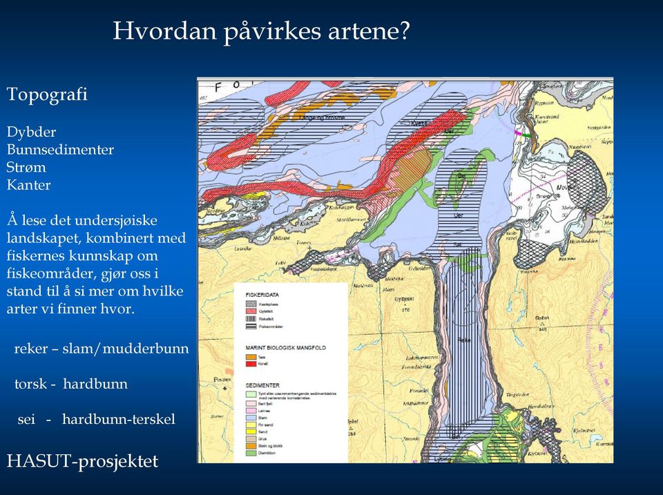 landskapet, kombinert med fiskernes kunnskap om fiskeområder, gjør oss i