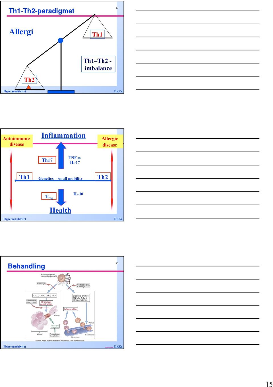 disease Inflammation 44 Allergic disease Th17 TNF-α