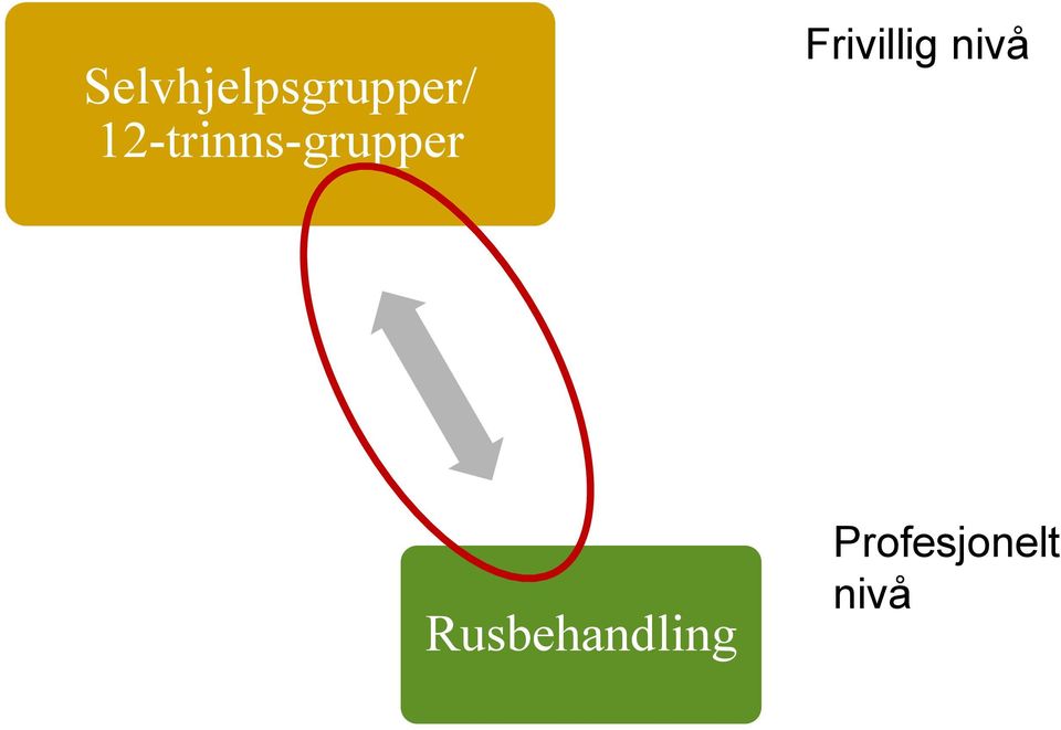 Frivillig nivå Twelve Step