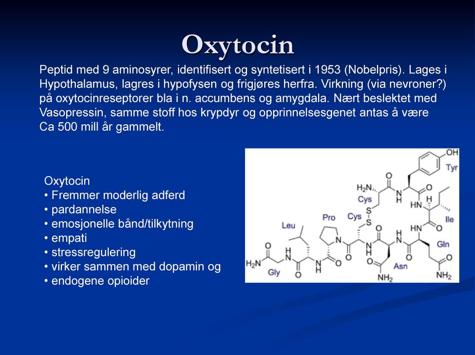 accumbens og amygdala.