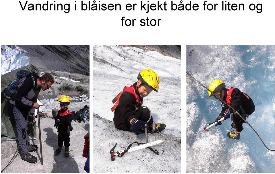 kjekt både