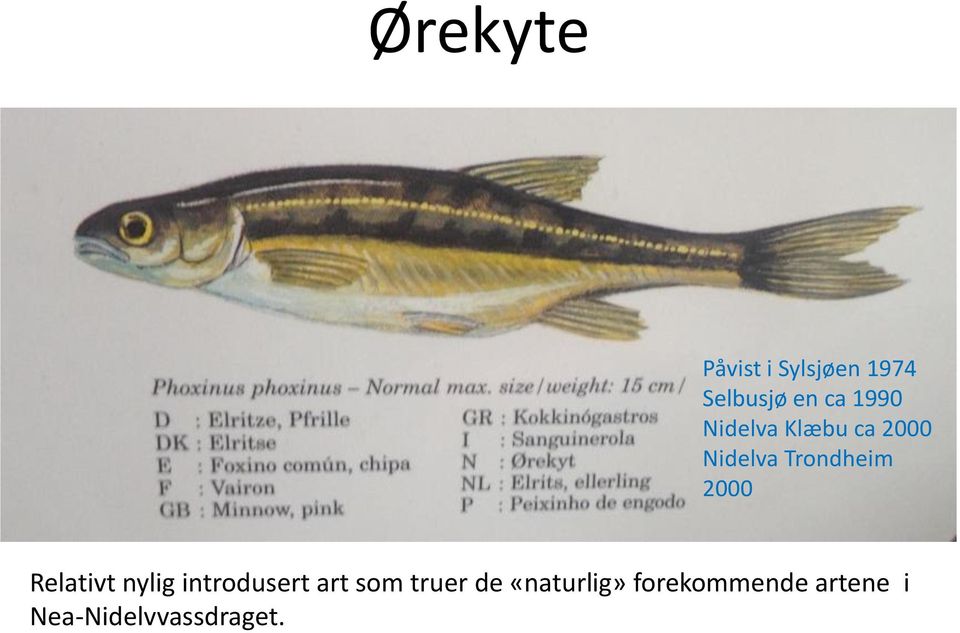 2000 Relativt nylig introdusert art som truer de