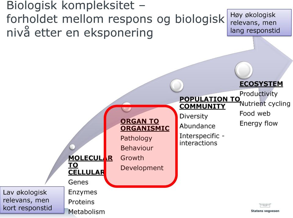 Enzymes Proteins Metabolism ORGAN TO ORGANISMIC Pathology Behaviour Growth Development 4 Productivity