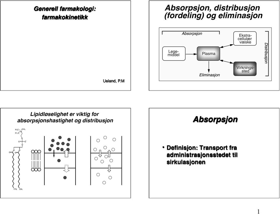 M Lipidløselighet er viktig for absorpsjonshastighet og distribusjon