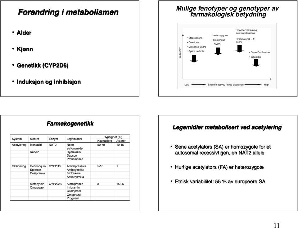 Farmakogenetikk Legemidler metabolisert ved acetylering Sene acetylators (SA) er homozygote