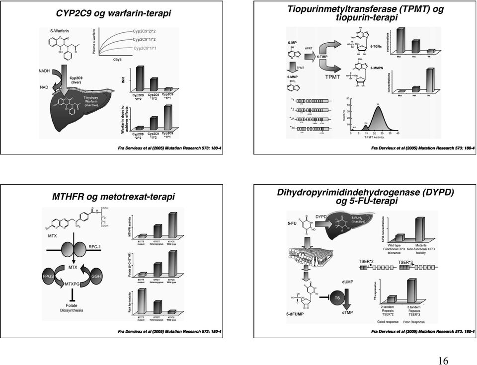 MTHFR og metotrexat-terapi Dihydropyrimidindehydrogenase (DYPD) og 5-FU-terapi Fra Dervieux et