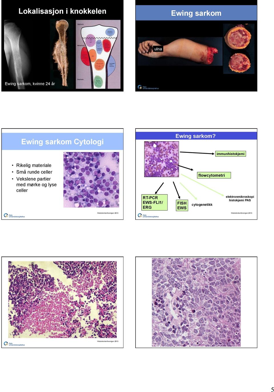 partier med mørke og lyse celler flowcytometri RT-PCR