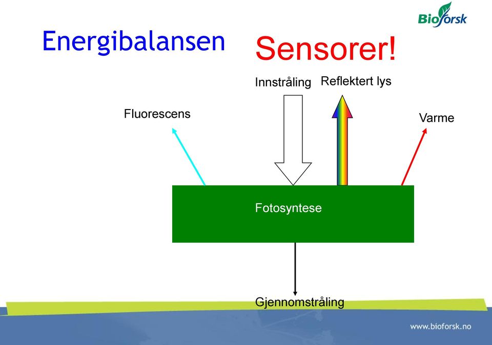 lys Fluorescens Varme